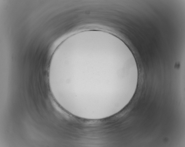 X0000112941535200910051143