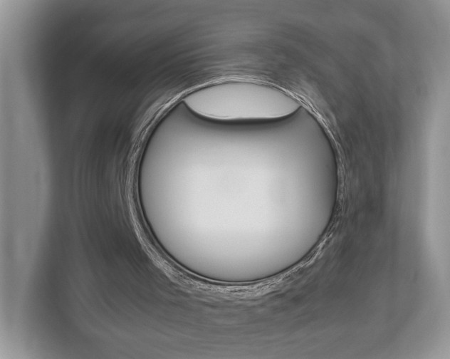 X0000112950001200908241036