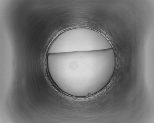 X0000112950002200908241036
