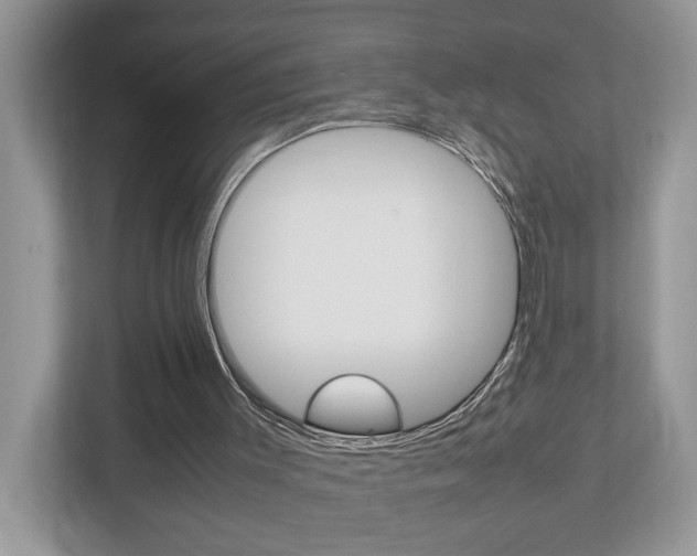 X0000112950003200908241036