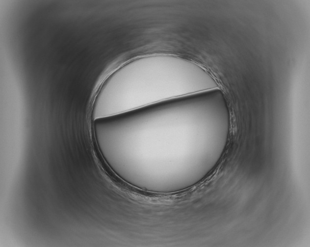 X0000112950004200908241036
