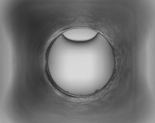 X0000112950005200908241036
