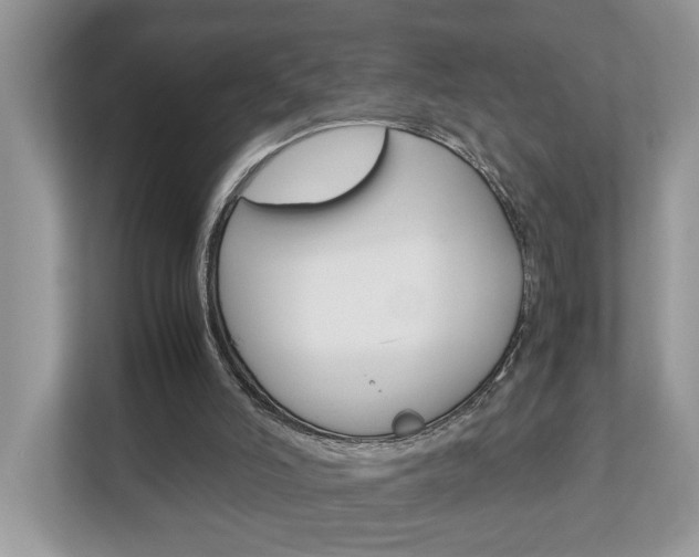 X0000112950006200908241036