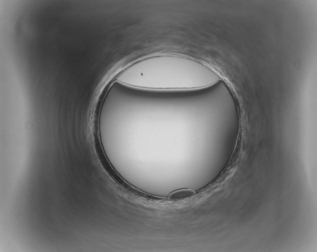 X0000112950007200908241036