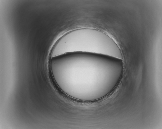 X0000112950008200908241036