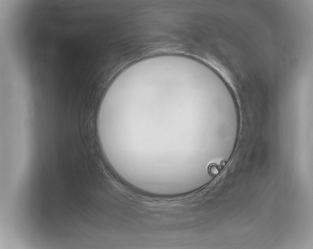 X0000112950009200908241036