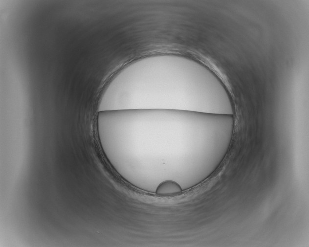 X0000112950010200908241036