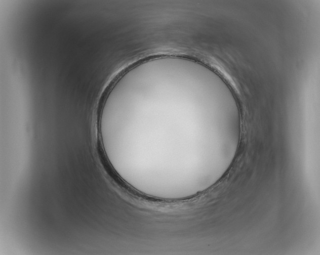 X0000112950011200908241036