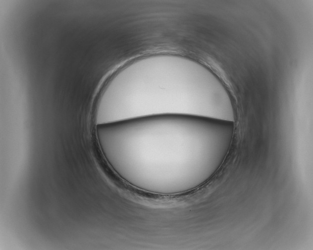 X0000112950012200908241036