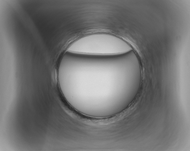 X0000112950013200908241036