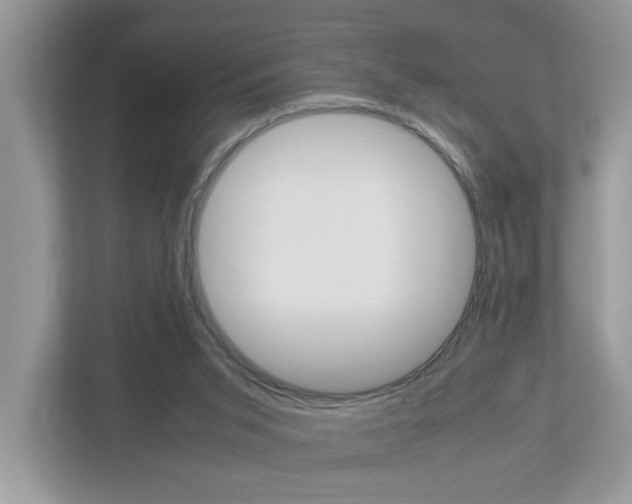 X0000112950015200908241036