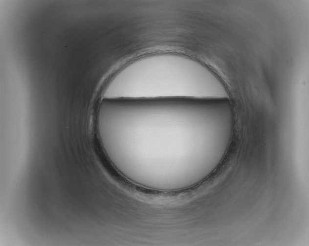 X0000112950016200908241036