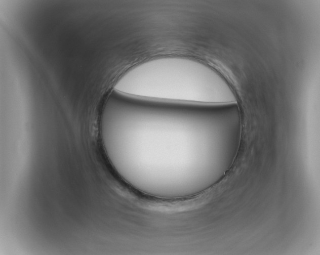 X0000112950017200908241036