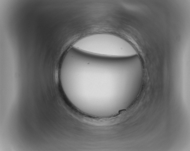 X0000112950019200908241036
