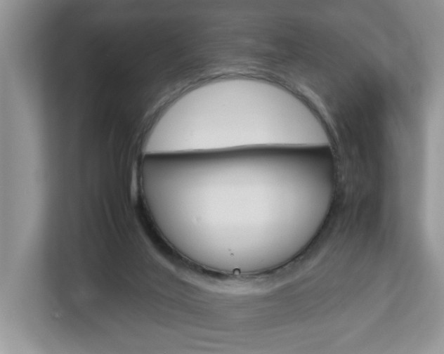 X0000112950020200908241036