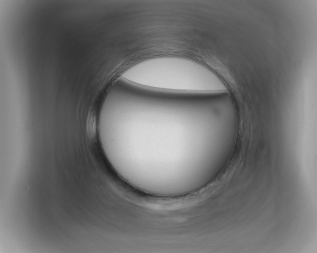X0000112950021200908241036