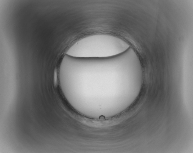 X0000112950022200908241036