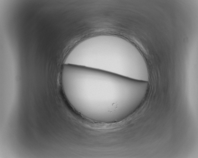 X0000112950023200908241036