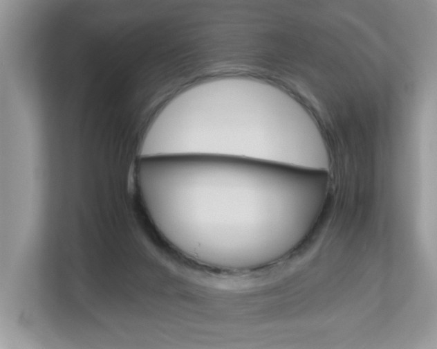 X0000112950024200908241036