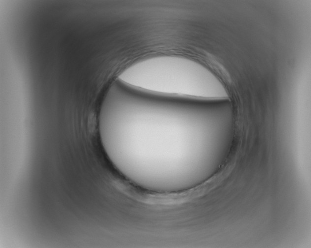 X0000112950025200908241036