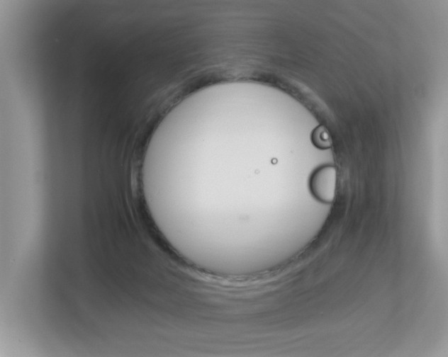 X0000112950026200908241036