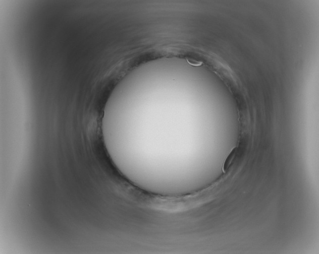 X0000112950029200908241036