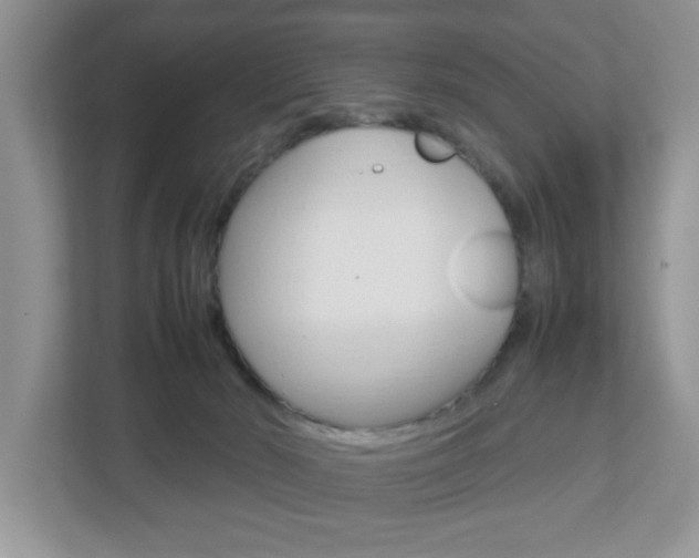 X0000112950030200908241036