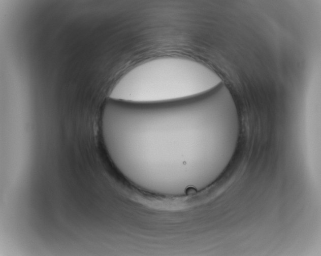 X0000112950032200908241036