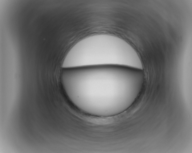 X0000112950036200908241036