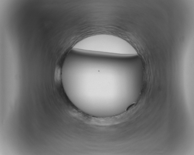 X0000112950041200908241036