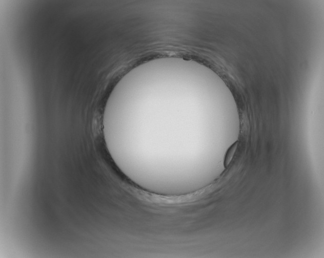 X0000112950043200908241036
