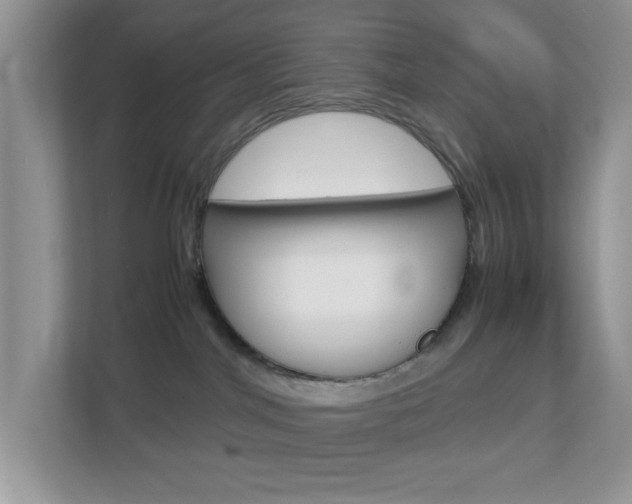X0000112950044200908241036