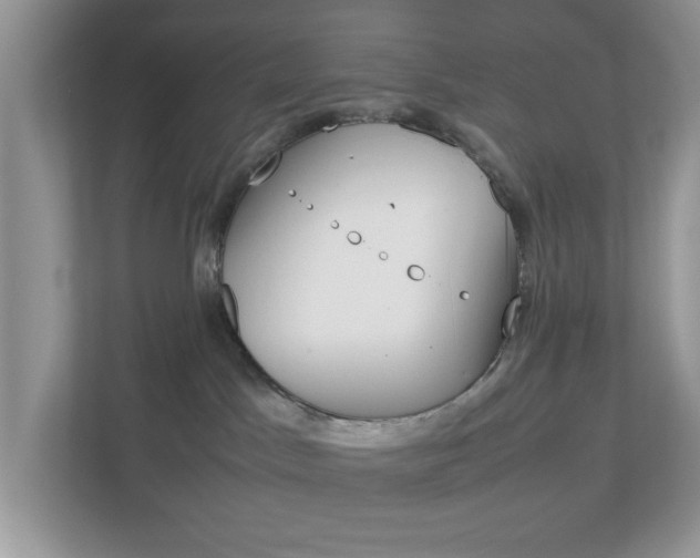 X0000112950045200908241036