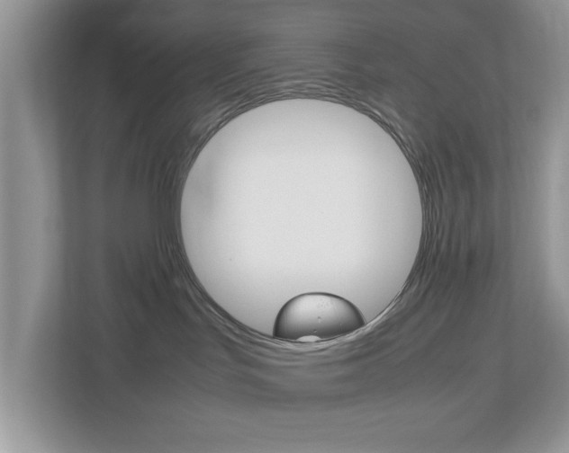 X0000112950047200908241036