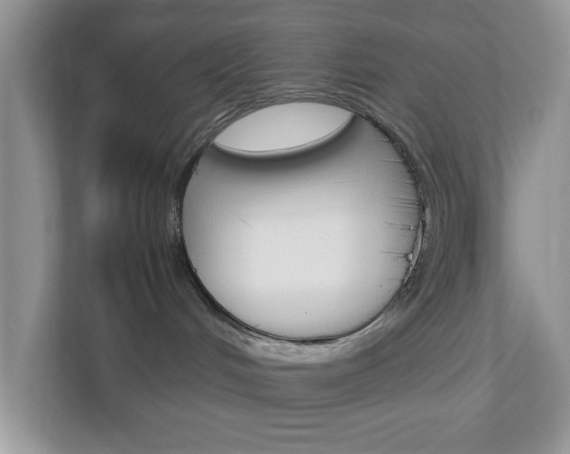 X0000112950048200908241036