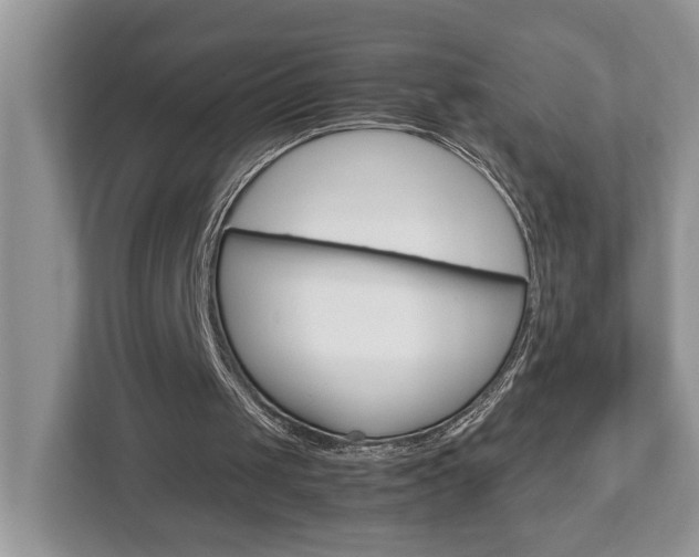X0000112950049200908241035