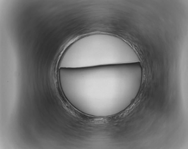 X0000112950050200908241035