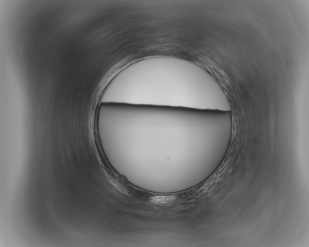 X0000112950051200908241035
