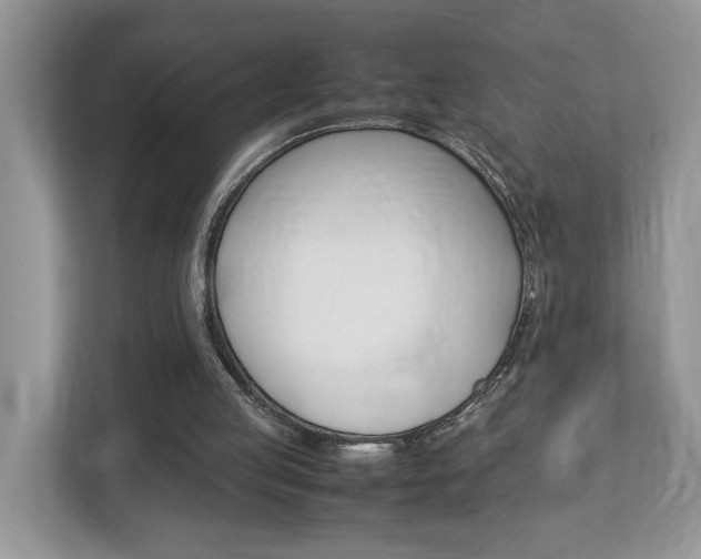 X0000112950053200908241035