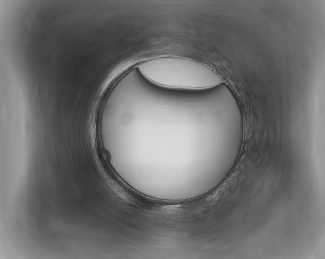 X0000112950054200908241035