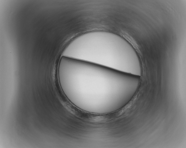 X0000112950058200908241035