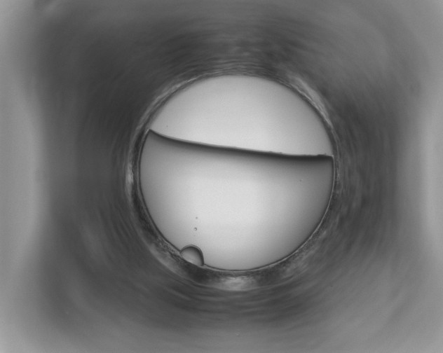 X0000112950059200908241035