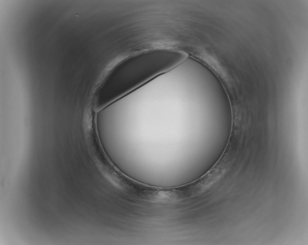 X0000112950060200908241035