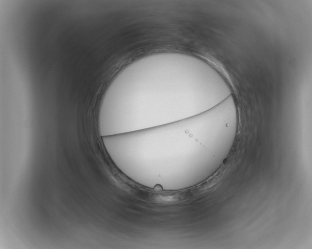 X0000112950061200908241035