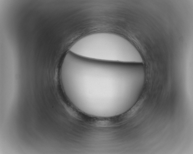X0000112950066200908241035