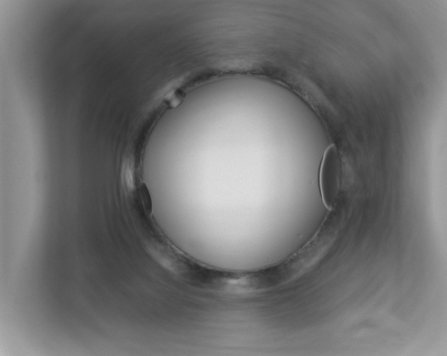 X0000112950068200908241035