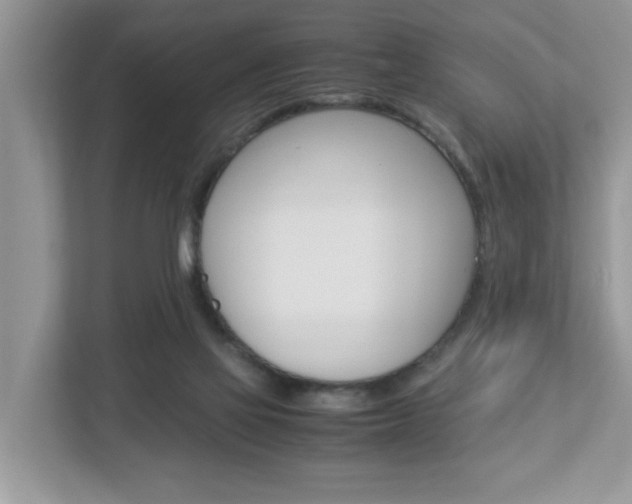 X0000112950069200908241035