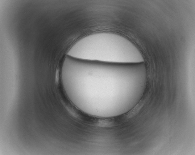X0000112950070200908241035