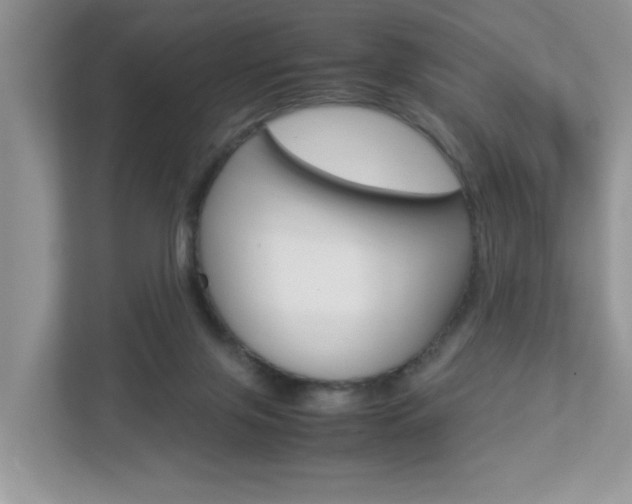 X0000112950071200908241035