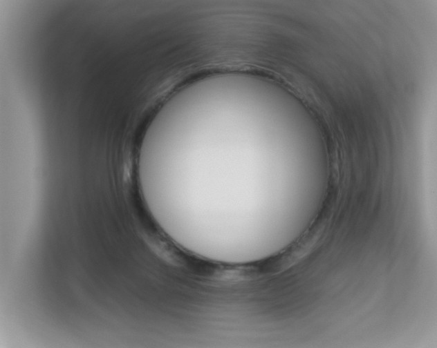 X0000112950072200908241035